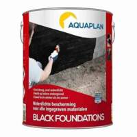  Black Foundations